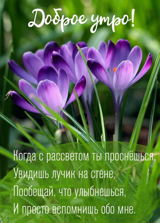 Открытки с рассветом и пожеланием доброго утра