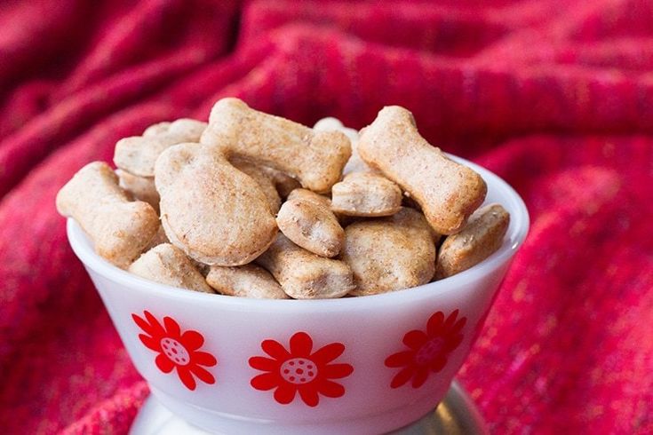 Best Homemade Food For Dogs With Sensitive Stomachs Best Homemade Food For Dogs With Sensitive Stomachs