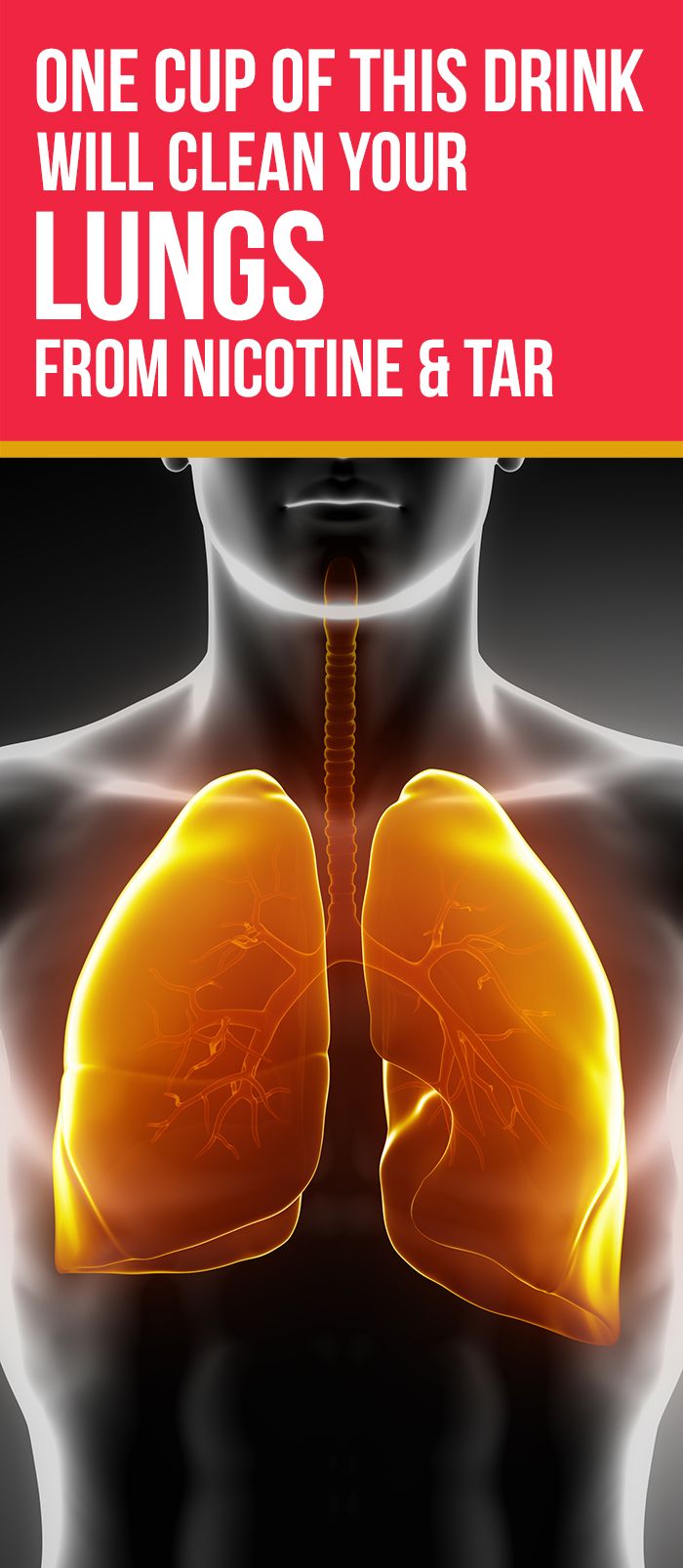 That Completely Detox Your Lungs Of Tar best 25 lung cleanse ideas on lung detox That Completely Detox Your Lungs Of Tar best 25 lung cleanse ideas on lung detox