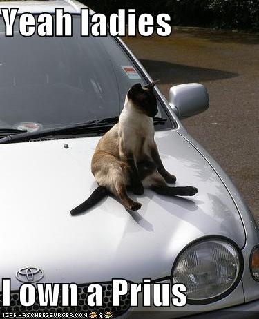 47 best prius driving images on pinterest funny stuff, toyota c02cd7b575e42e01075864f8417f1a8f funny cars big cats 47 best prius driving images on pinterest funny stuff, toyota,Prius Memes