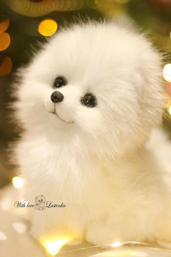 made to order Artist Stuffed dog collectible toy OOAK Spitz. Puppy Pomeranian Eva