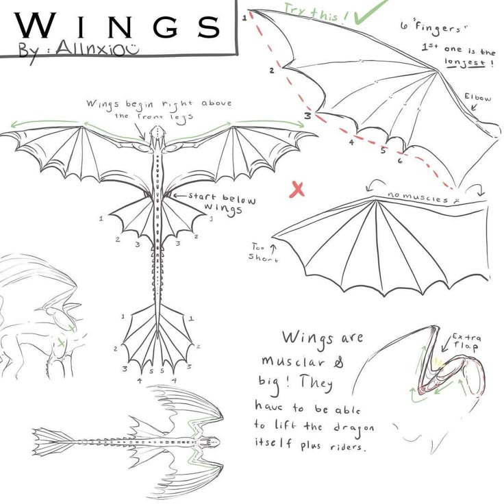 Фурия из бумаги схемы Sizes of Enxio and Starlexent, with Toothless to compare ;) #httyd #httyd2 #htty