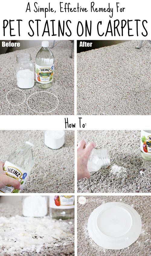 Dock Hacks And Tips Inspiration Pinterest Cleaning Dock Hacks And Tips Inspiration Pinterest Cleaning Solutions