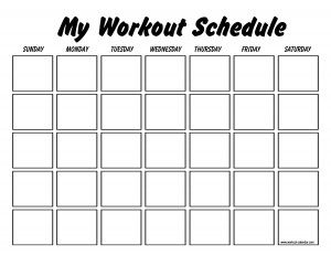 this site has blank and pre made work out schedules for several
