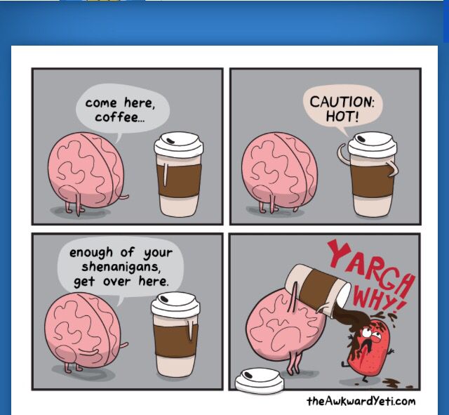 62 best awkward yeti images on pinterest ha ha, funny stuff and c097bf6ab69ca1ed43f3e5ecd77c673e funniest memes funny memes 62 best awkward yeti images on pinterest ha ha, funny stuff and