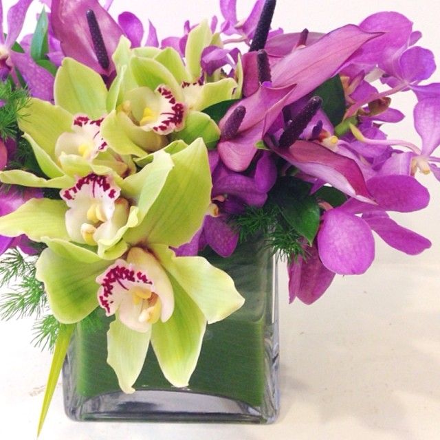 Green And Purple Orchid Centerpiece Floral Design By Passion Roots Passionroots Green And Purple Orchid Centerpiece Floral Design By Passion Roots Passionroots