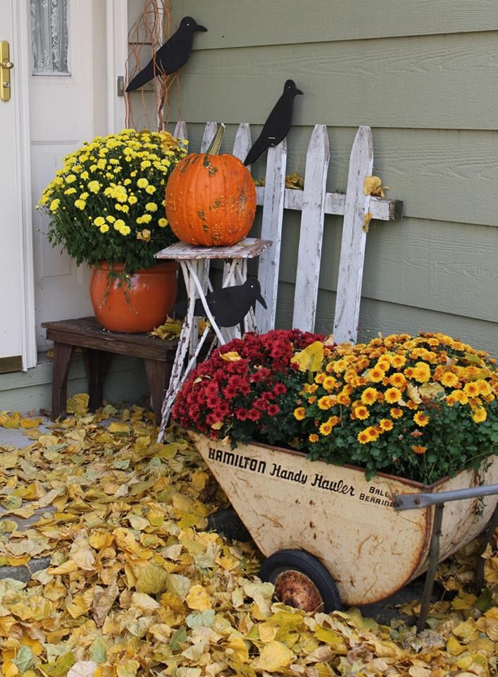 small front porch but still nice outside fall decorationshalloween decorationsfall front - Nice Halloween Decorations small front porch but still nice outside fall decorationshalloween decorationsfall front - Nice Halloween Decorations