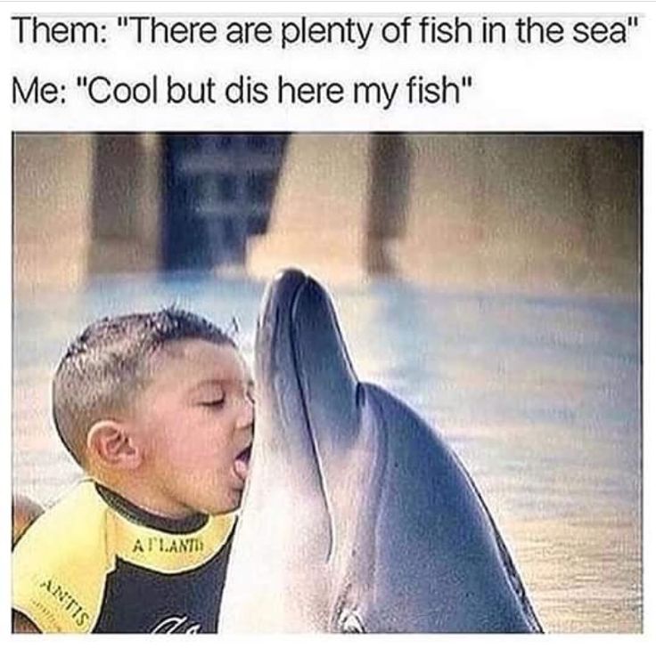 291 best bruhh images on pinterest so funny, hilarious and tired c0b31849e88cd2b02a94a846c37a0fbd couple quotes too funny 291 best bruhh images on pinterest so funny, hilarious and tired