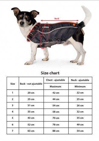 326 best Animals Products \ Info images on Pinterest Doggies - lost dog flyer examples 326 best Animals Products \ Info images on Pinterest Doggies - lost dog flyer examples