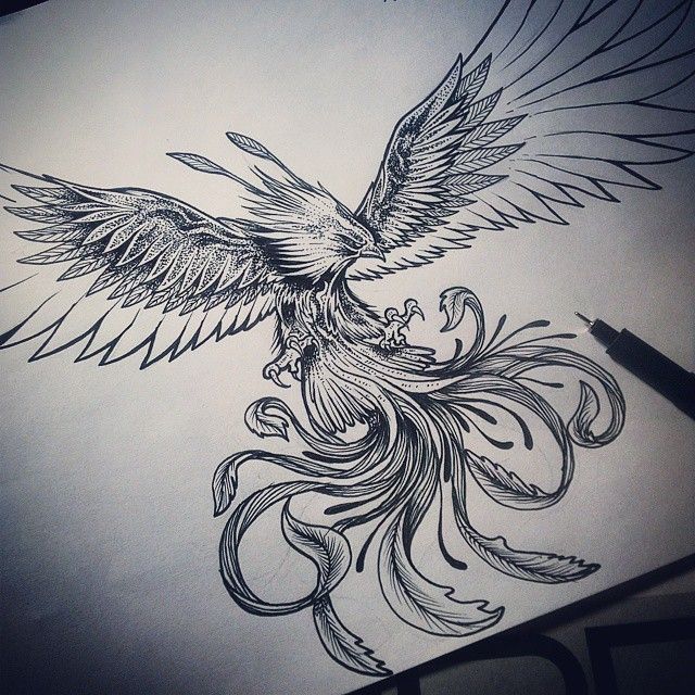 Terminando Ave Fenix A Pedido Cavtattoo Saludos Cavtattoo Sentimiento Arte Emocion Diseño Ilus Ave Fenix Dibujo Ave Fenix Tatuaje De Fénix Para Hombre