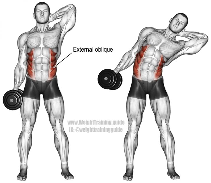 Dumbbell side bend exercise Dumbbell side bend exercise