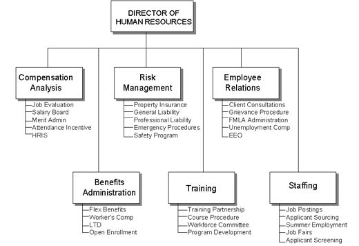human resources department structure hr staff human resources department organizational chart