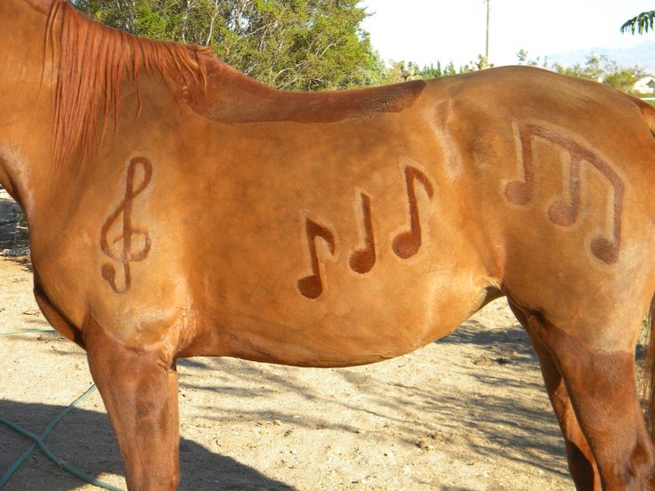 194 best horse clips manes designs images on fancy treble clef designs