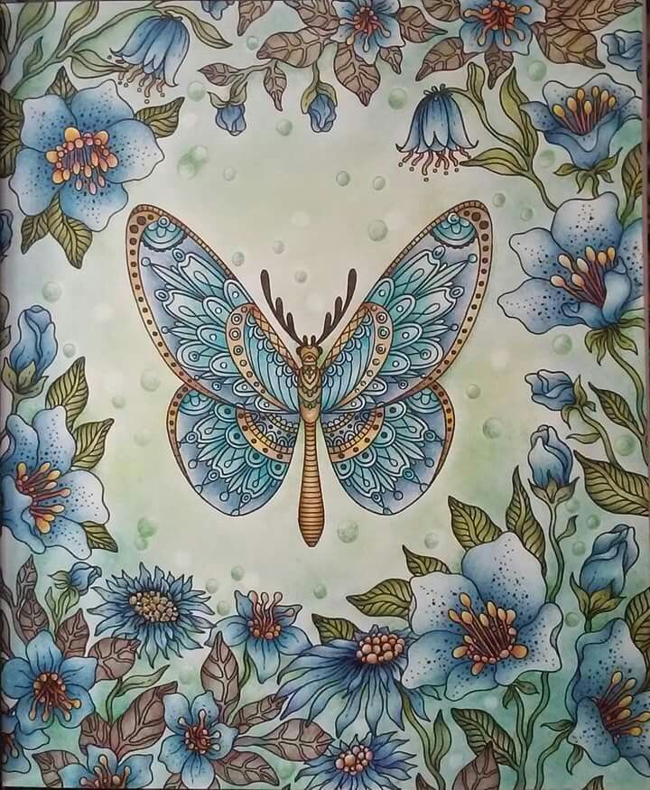 Colored Pencil Drawings Tutorial Art Pencils Summer Nights Coloring Books Adult Colouring Dragonflies