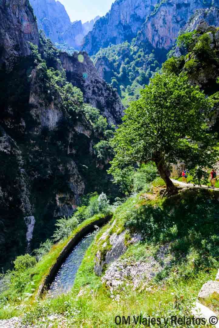 La Ruta Del Cares Desde Caín La Senda Más Espectacular De Los Picos De Europa Picos De Europa Rutas De Senderismo Rutas