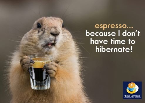groundhog day keep the talent happy 108 best holidays groundhog day images on groundhog day keep the talent happy 108 best holidays groundhog day images on