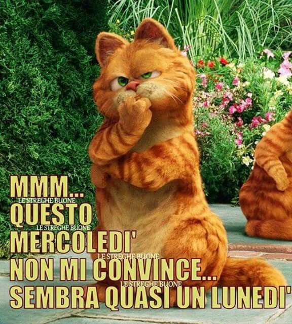 128 best buon mercoledi images on pinterest italia animation christmas movies