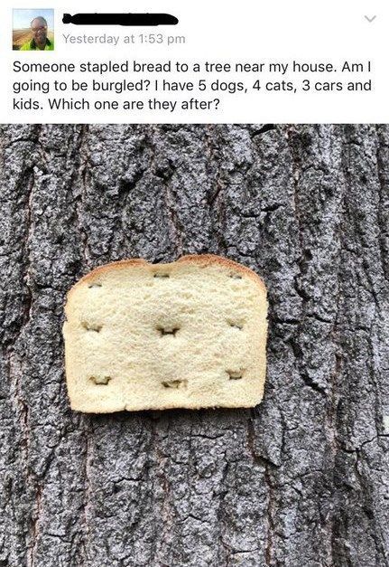 flirting meme with bread without bread mix flirting meme with bread without bread mix