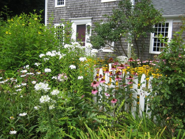 Garden Design Cottage Style 46 best cape style landscaping images on pinterest | garden ideas Garden Design Cottage Style 46 best cape style landscaping images on pinterest | garden ideas