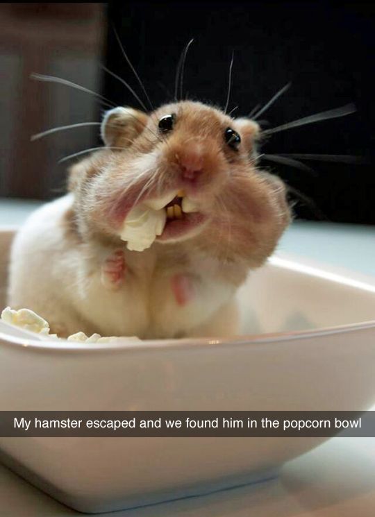 heeheee