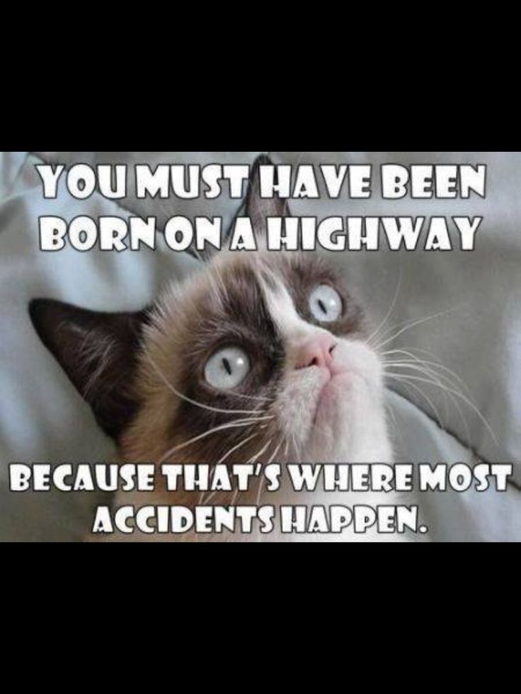best 25 rude meme ideas only on pinterest comebacks memes, rude c15daf92dd51b20956e87ed4e5c19b7f insulting memes funny insults best 25 rude meme ideas only on pinterest comebacks memes, rude,Memes Font