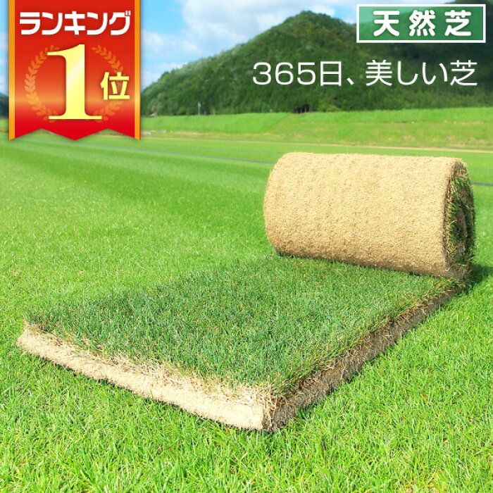 楽天市場 芝生 天然芝 三種混合ロール巻芝 送料無料 芝生 通販 サンワショッピング 芝生 芝 天然 楽天市場 芝生 天然芝 三種混合ロール巻芝 送料無料 芝生 通販 サンワショッピング 芝生 芝 天然