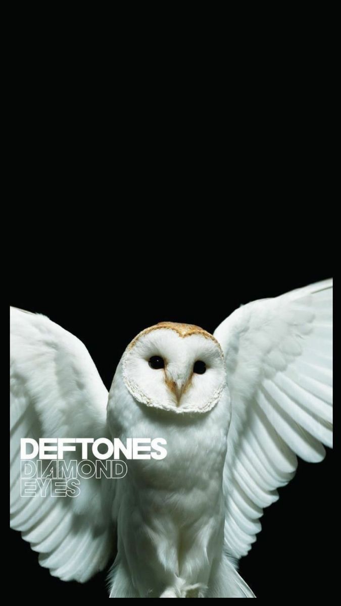 Pin By Sophia 3 On music Rock Poster Art Cover Wallpaper Edgy Pin By Sophia 3 On music Rock Poster Art Cover Wallpaper Edgy