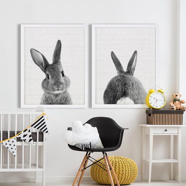 Rabbit Pictures Bunny Nursery And Accessories