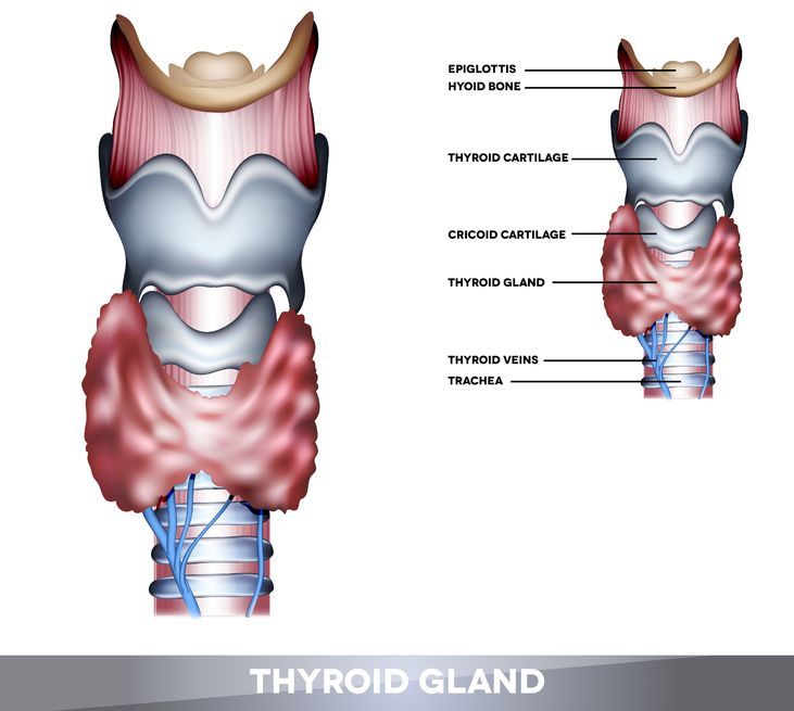 Thyroid cancer biology
