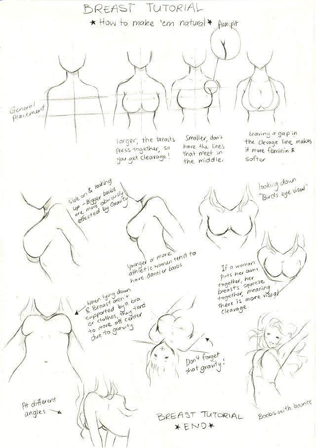 How to draw breasts anime