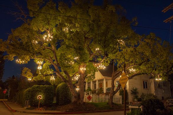 The Most Lit Tree In Los Angeles Chandelier Vintage Chandelier Tree, Vintage Chandeliers Los Angeles California