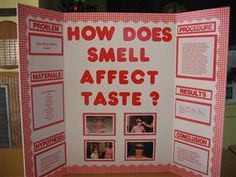 eigth grade science projects