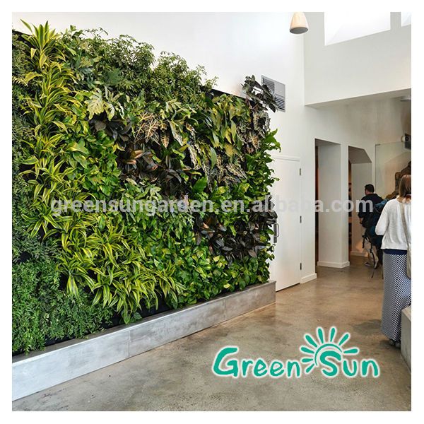 Wall Plant Decor 72 best vertical plant wall - interior images on pinterest | plant Wall Plant Decor 72 best vertical plant wall - interior images on pinterest | plant