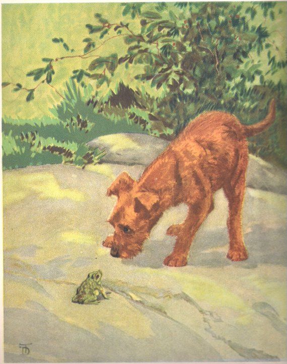 IRISH TERRIER LOVELY HEAD STUDY VINTAGE STYLE DOG PRINT POSTER