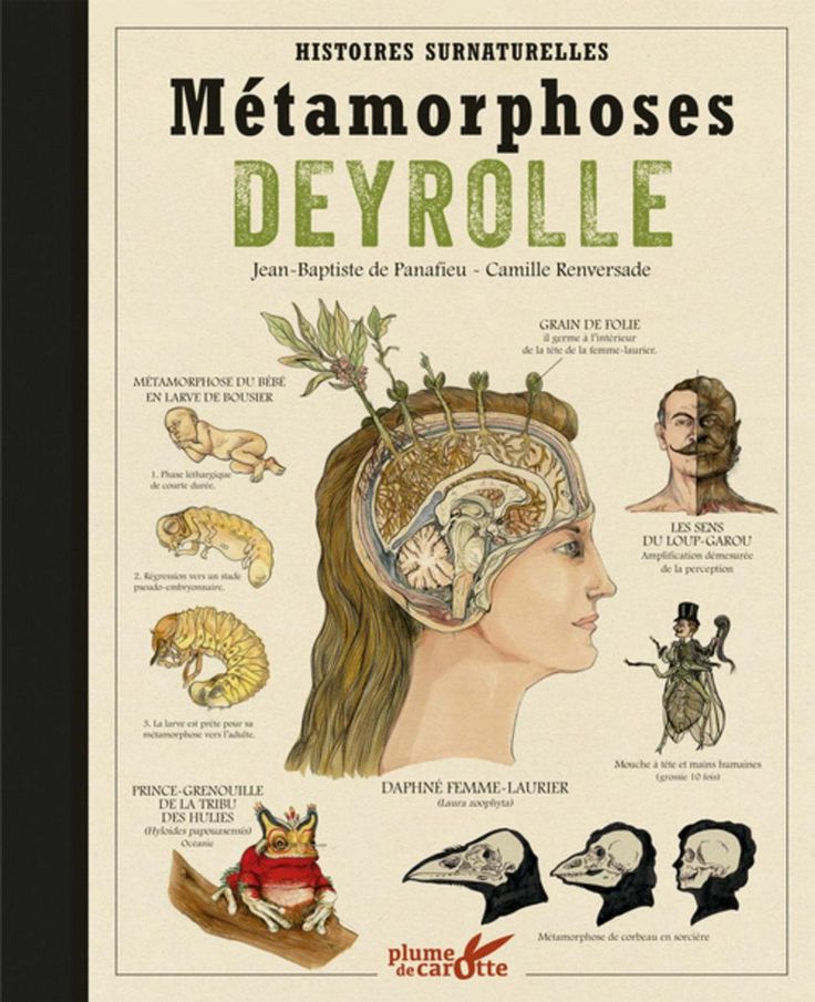 book Электростатическая индукция: Методические