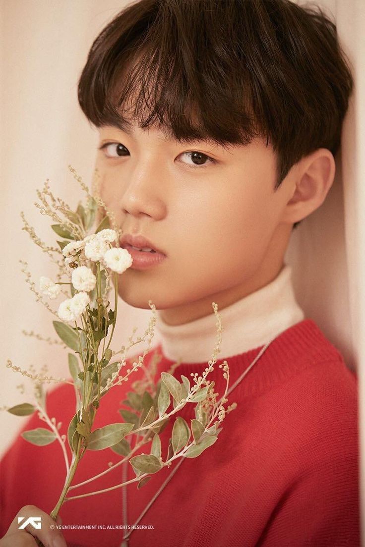 kim doyoung flower images treasure boxes treasures kim doyoung flower images treasure boxes treasures