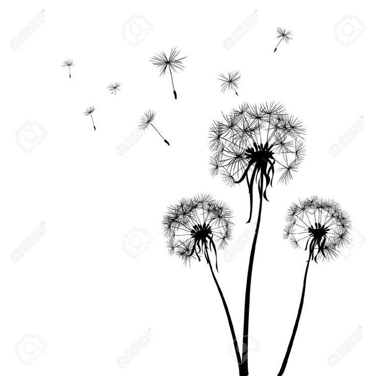best 25 dandelion tattoo design ideas on pinterest dandelion best 25 dandelion tattoo design ideas on pinterest dandelion