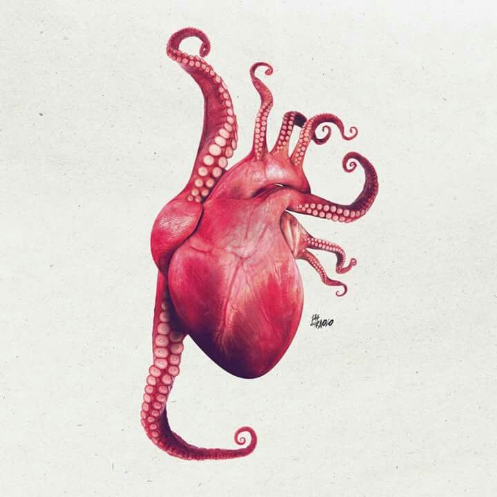 Oktopus Herzen Oktopus Herzen