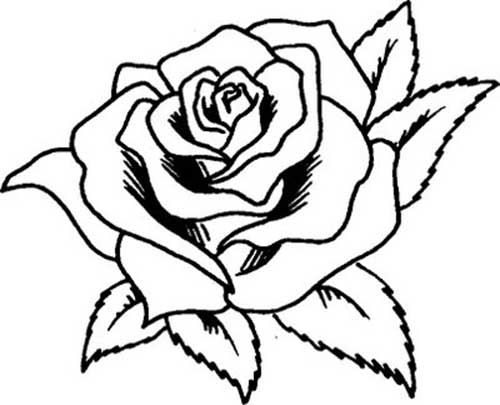 50 desenhos de flores para colorir pintar em casa cricut