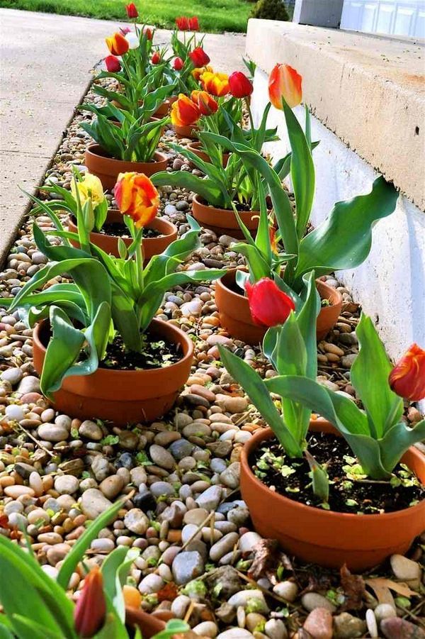 Flower Garden Ideas With Rocks best 20+ gravel landscaping ideas on pinterest | rock yard, front Flower Garden Ideas With Rocks best 20+ gravel landscaping ideas on pinterest | rock yard, front