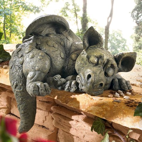 Welche Kriterien es vorm Kauf die Drache lexi zu untersuchen gibt