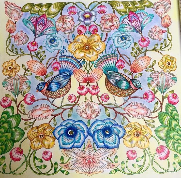 Millie Marottas Tropical Wonderland