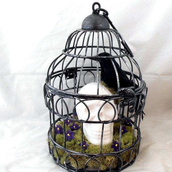 Bird Cage Art And Craft Bird Cage Art And Craft