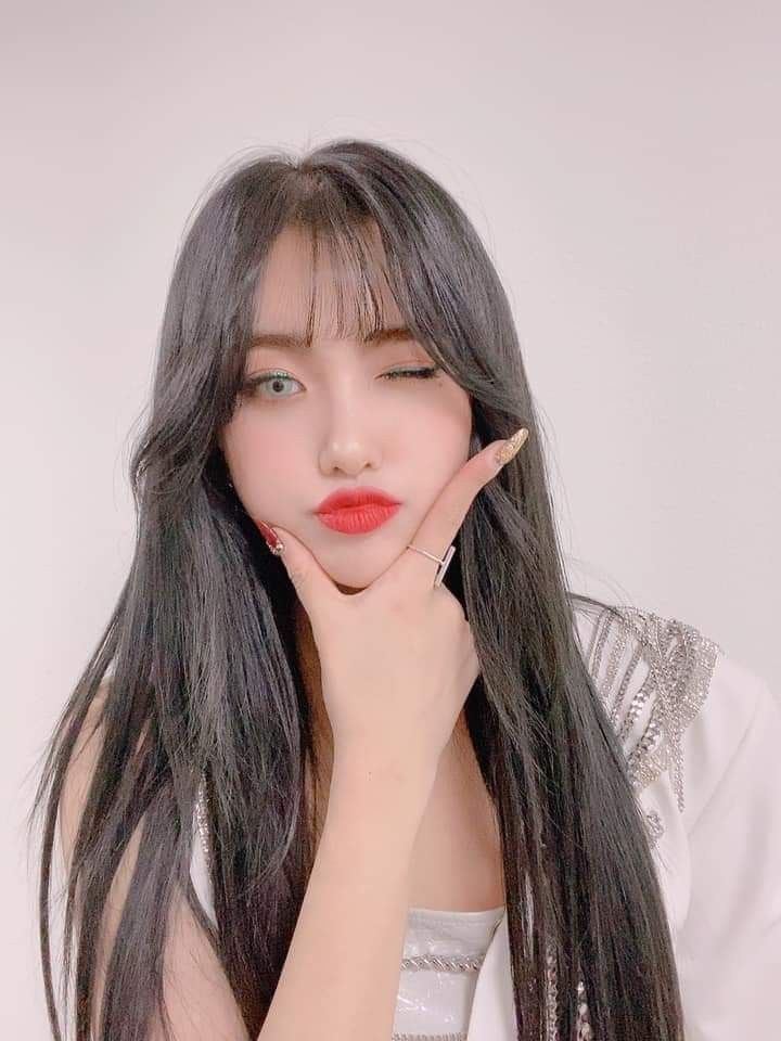 everglow aisha wattpad everglow aisha wattpad