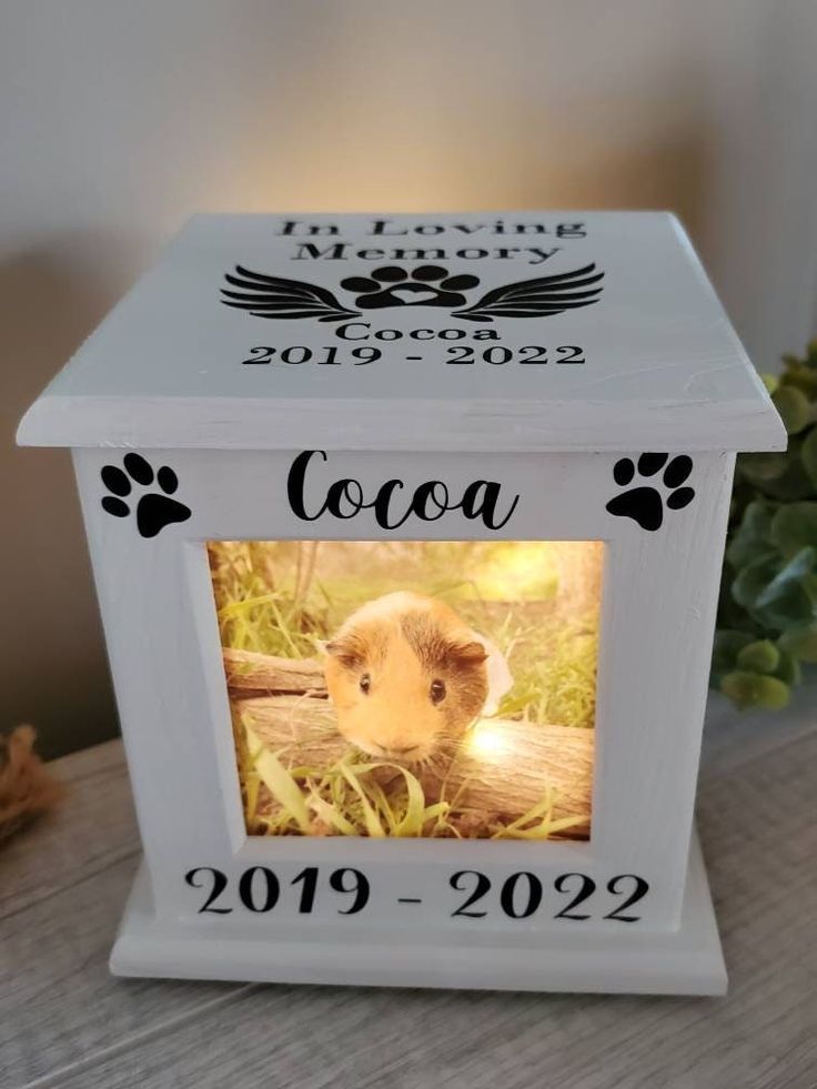 Guinea on sale pig urn
