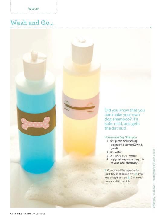 Natural Flea Spray For Dogs Using Essential Oils Natural Flea Spray For Dogs Using Essential Oils