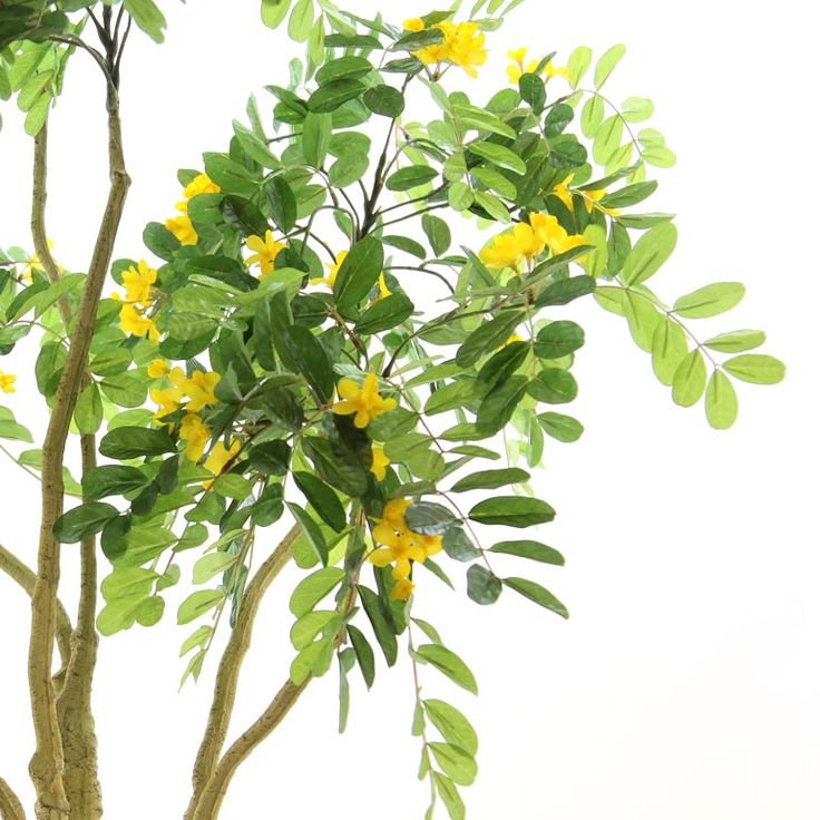 プレミアム光触媒フェイクグリーン 造花ドットコム Zouka Com 花の木 人工観葉植物 造花 プレミアム光触媒フェイクグリーン 造花ドットコム Zouka Com 花の木 人工観葉植物 造花