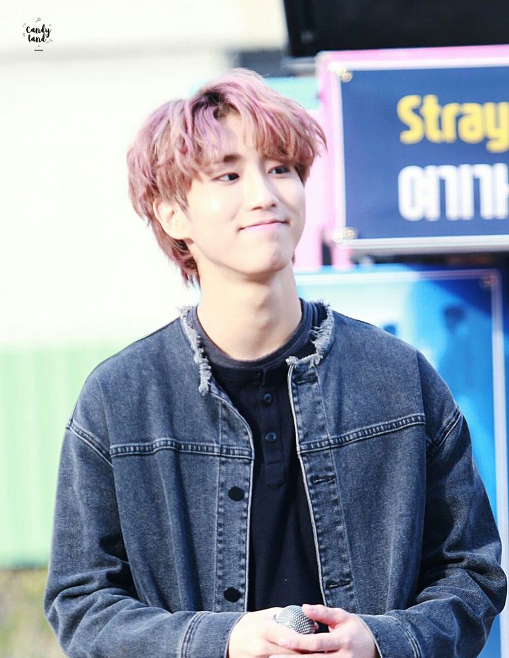 han jisung kids stray hubby han jisung kids stray hubby