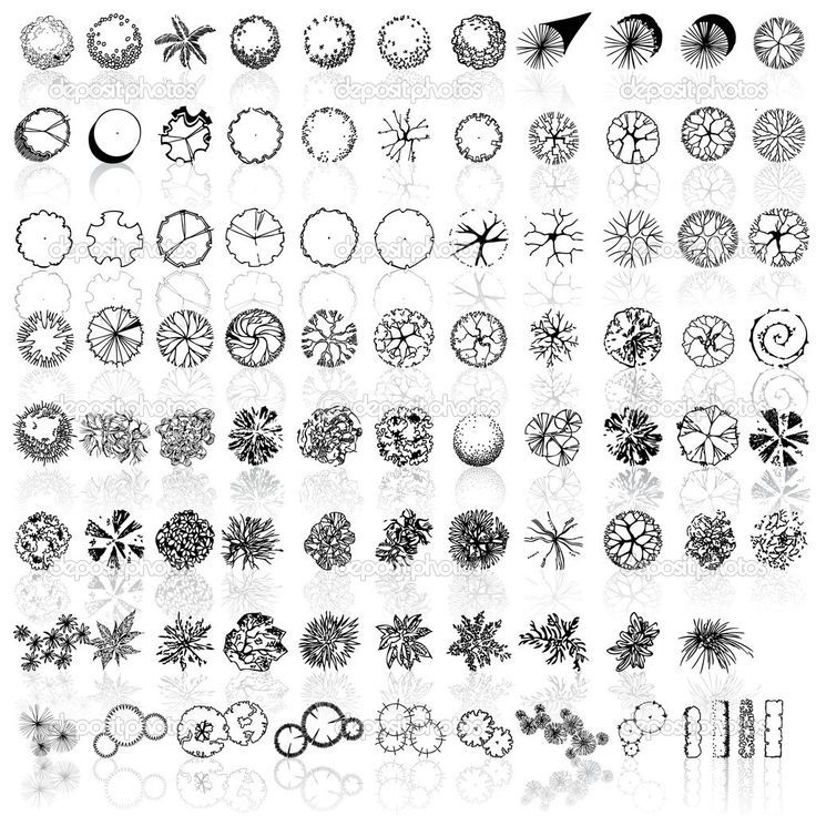 Landscape Architecture Plan Trees 73 best landscape hand drawing images on pinterest | sketch Landscape Architecture Plan Trees 73 best landscape hand drawing images on pinterest | sketch