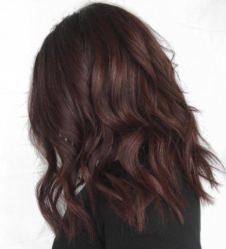 dark burgundy brown hairstyle shorthaircolor brunette light brown wavy hair